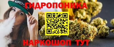 гидропоника Кингисепп