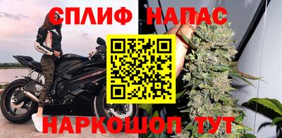 гидропоника Кингисепп