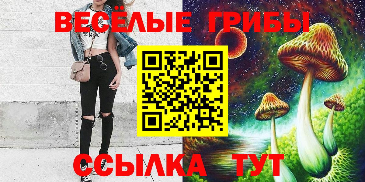 Кудрово  Галлюциногенные грибы MAGIC MUSHROOMS  Галлюциногенные грибы MAGIC MUSHROOMS  Вход с VPN 
