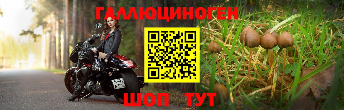 Псилоцибиновые грибы MAGIC MUSHROOMS Кудрово