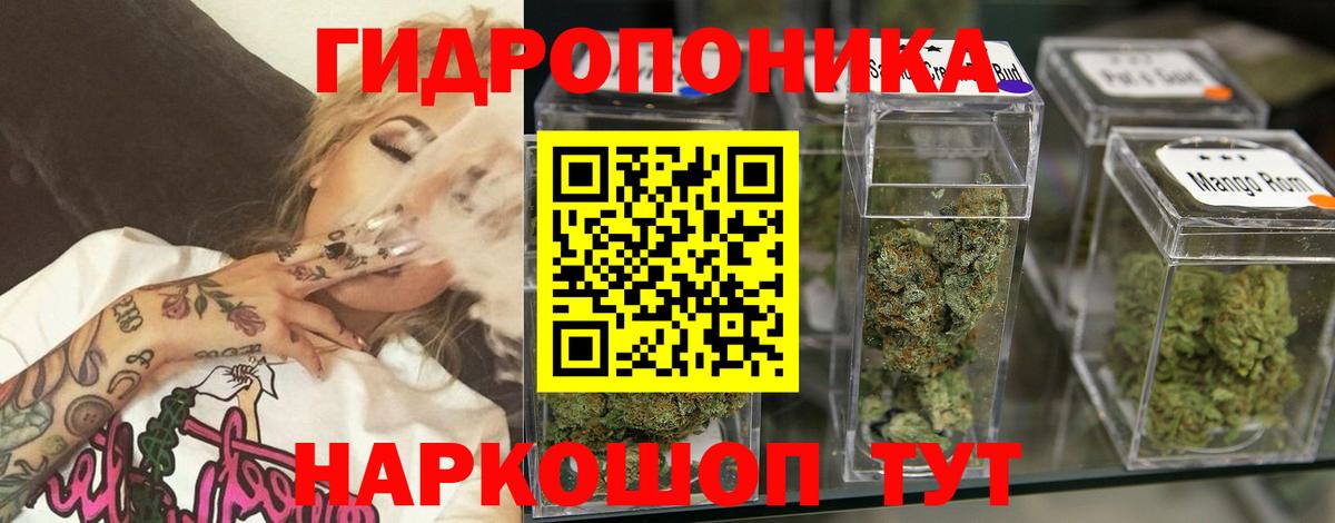 Кудрово  Канабис планчик  Бошки марихуана тримм  Вход с VPN  МАРИХУАНА ГИДРОПОН 